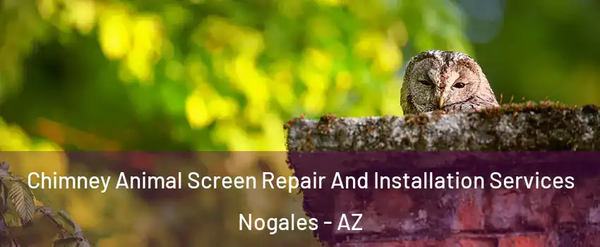  Chimney Animal Screen Repair And Installation Services Nogales - AZ