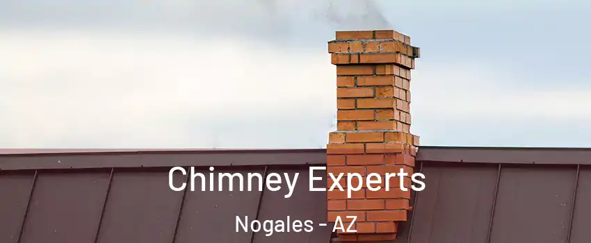  Chimney Experts Nogales - AZ