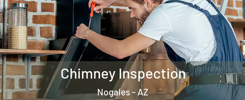  Chimney Inspection Nogales - AZ