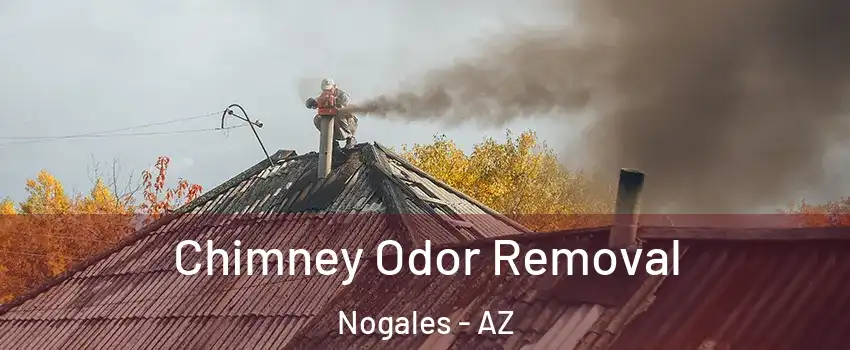  Chimney Odor Removal Nogales - AZ
