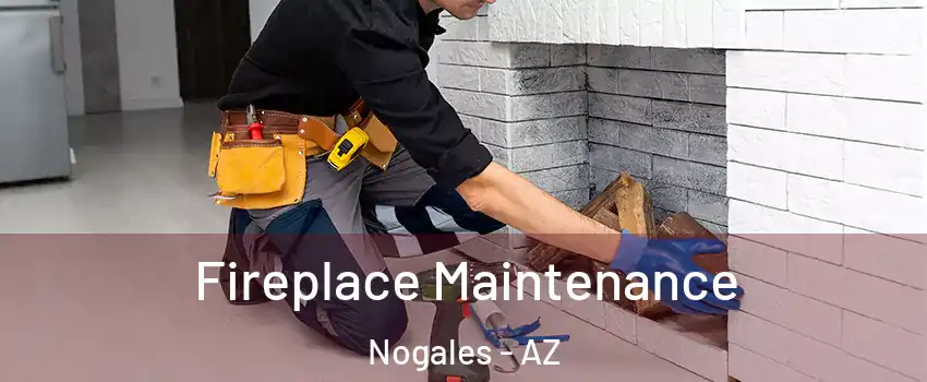  Fireplace Maintenance Nogales - AZ