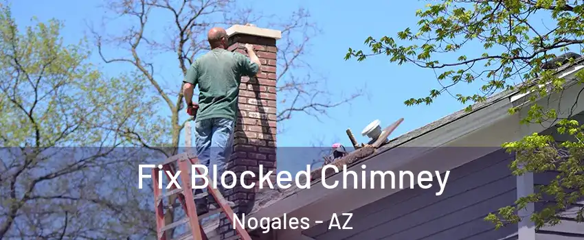  Fix Blocked Chimney Nogales - AZ