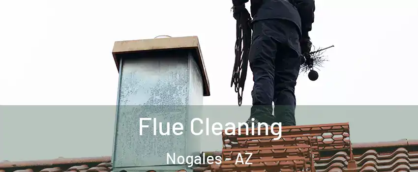  Flue Cleaning Nogales - AZ
