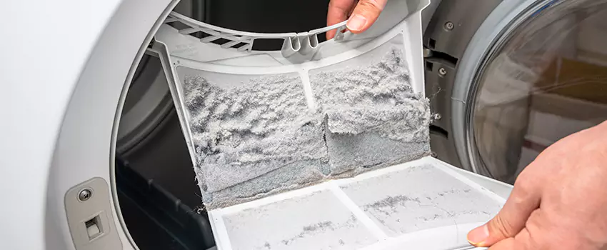 Best Dryer Lint Removal Company in Nogales, Arizona