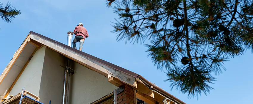 Birds Removal Contractors from Chimney in Nogales, AZ